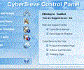 CyberSieve