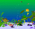 Custom Aquarium Screensaver