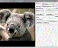 Viscomsoft .Net Video Capture SDK