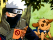 Kakashi Screensaver