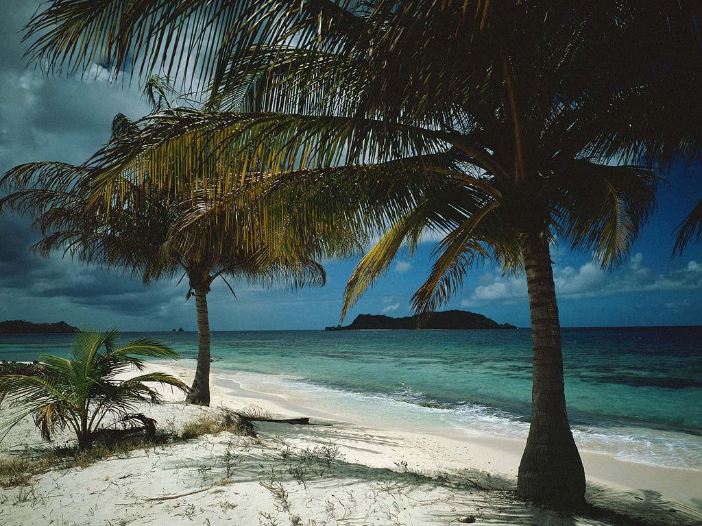 Tropical Island Landscapes III