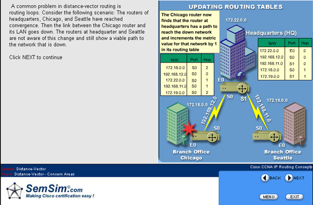 SemSim CCNA Training Course