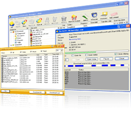 Download Accelerator Manager