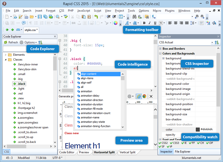 Rapid CSS Editor 2007