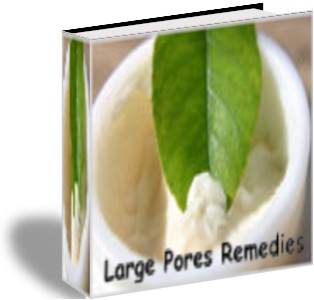 Large Pores Remedies