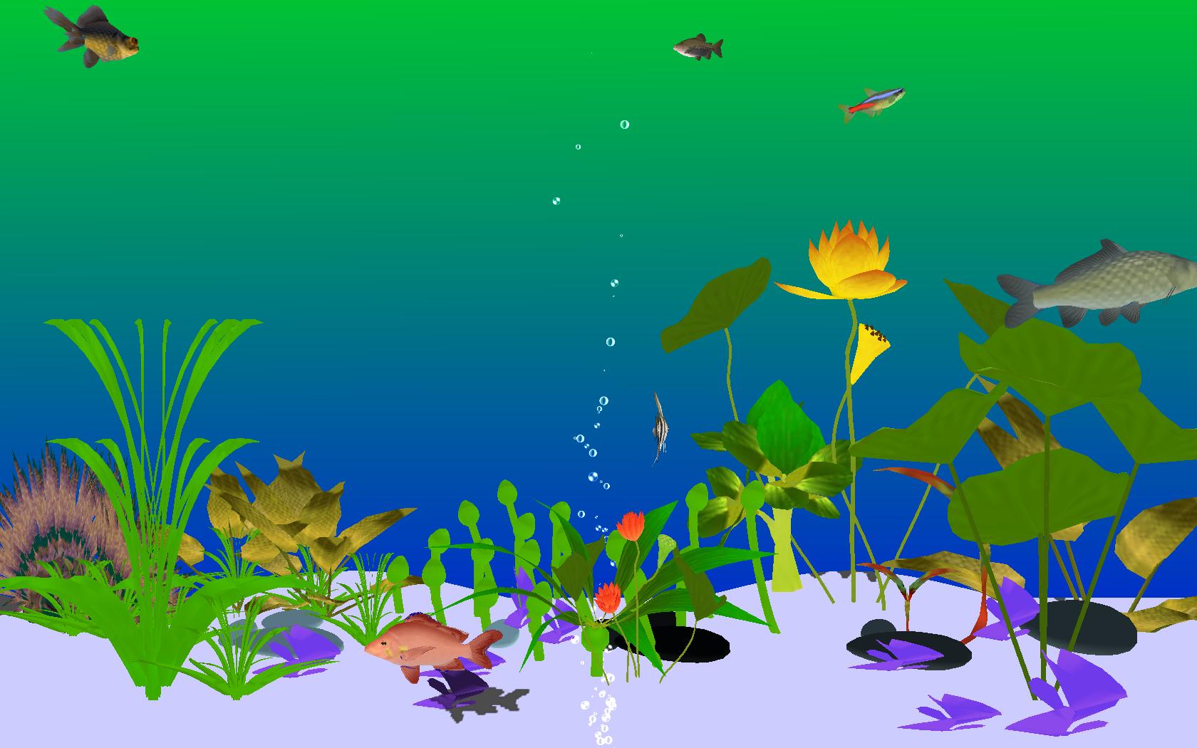 Custom Aquarium Screensaver