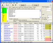 Domain Name Pro