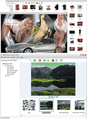 Web Photo Search