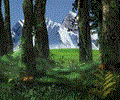 3D Forest Screensaver