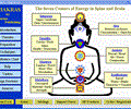 Chakras