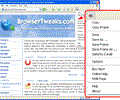 IE Screenshot Pro