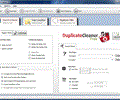 Duplicate Cleaner