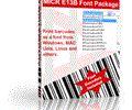 IDAutomation MICR E13B Font Advantage