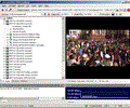 StreamGuru MPEG & DVB Analyzer