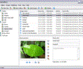 ReaGallery - HTML photo album generator