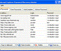 Internet Explorer Password Recovery Master