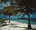 Tropical Island Landscapes III