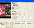VISCOM FLV Player SDK ActiveX