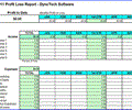 Profit Loss Report Spreadsheet