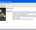 Image.InfoCards Viewer