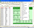 statistiXL