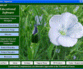 Cancer Educational Software