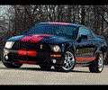 Ford Shelby Screensaver