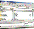 Win FTP Client