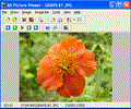 AD Picture Viewer