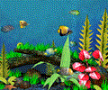 Fish Aquarium 3D Screensaver