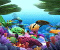 Marine Life 3D Screensaver