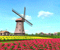 Windmill 3D Screensaver