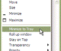 Actual Window Menu