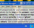 Actual Window Manager