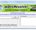 IpDnsResolver