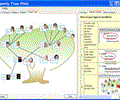 Family Tree Pilot
