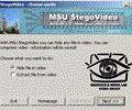 MSU StegoVideo