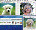 Morpheus Photo Animation Suite Mac