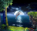 3D Jumping Dolphins Screensaver